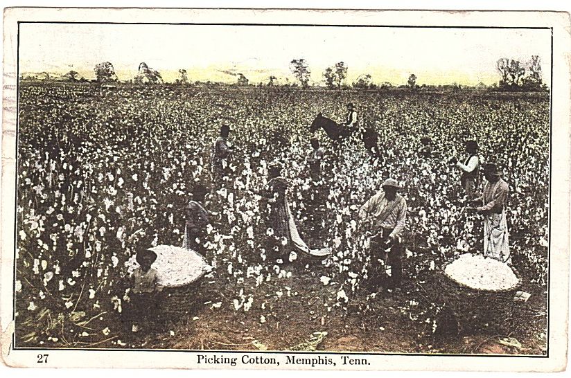 Other postcards from Justin Palmer