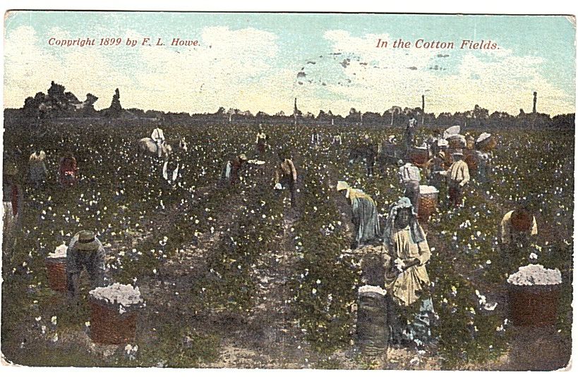 Other postcards from Justin Palmer